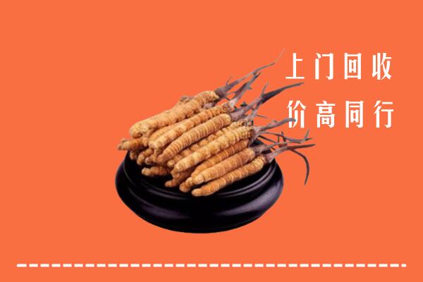 高价求购：莲湖区回收散虫草